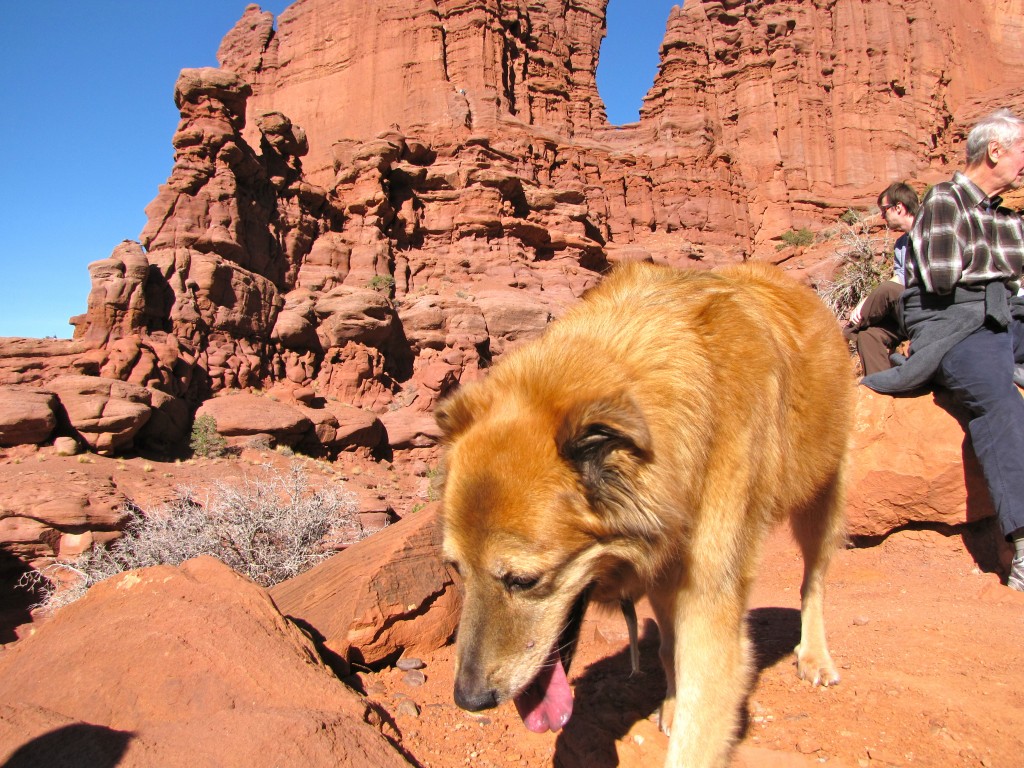 Fisher Towers Fisher Towers