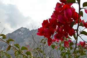 El Potrero Chico