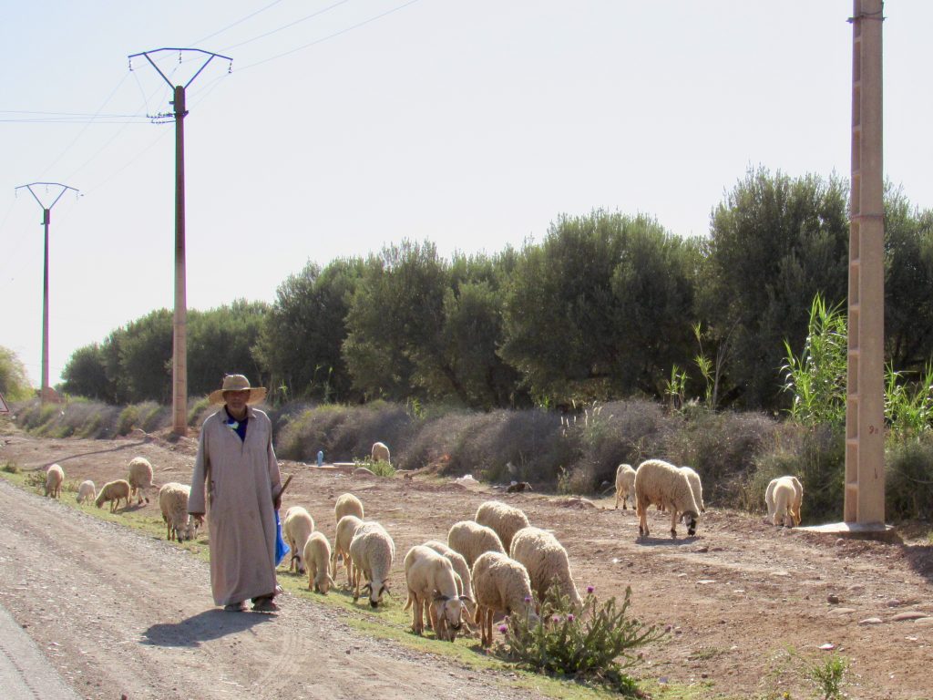 Morocco