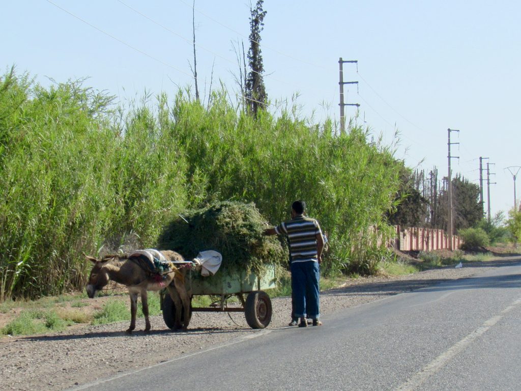 Morocco