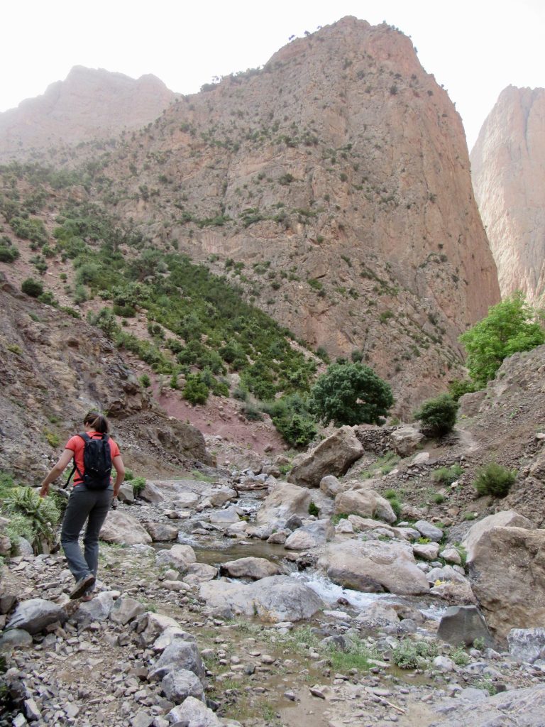 Taghia