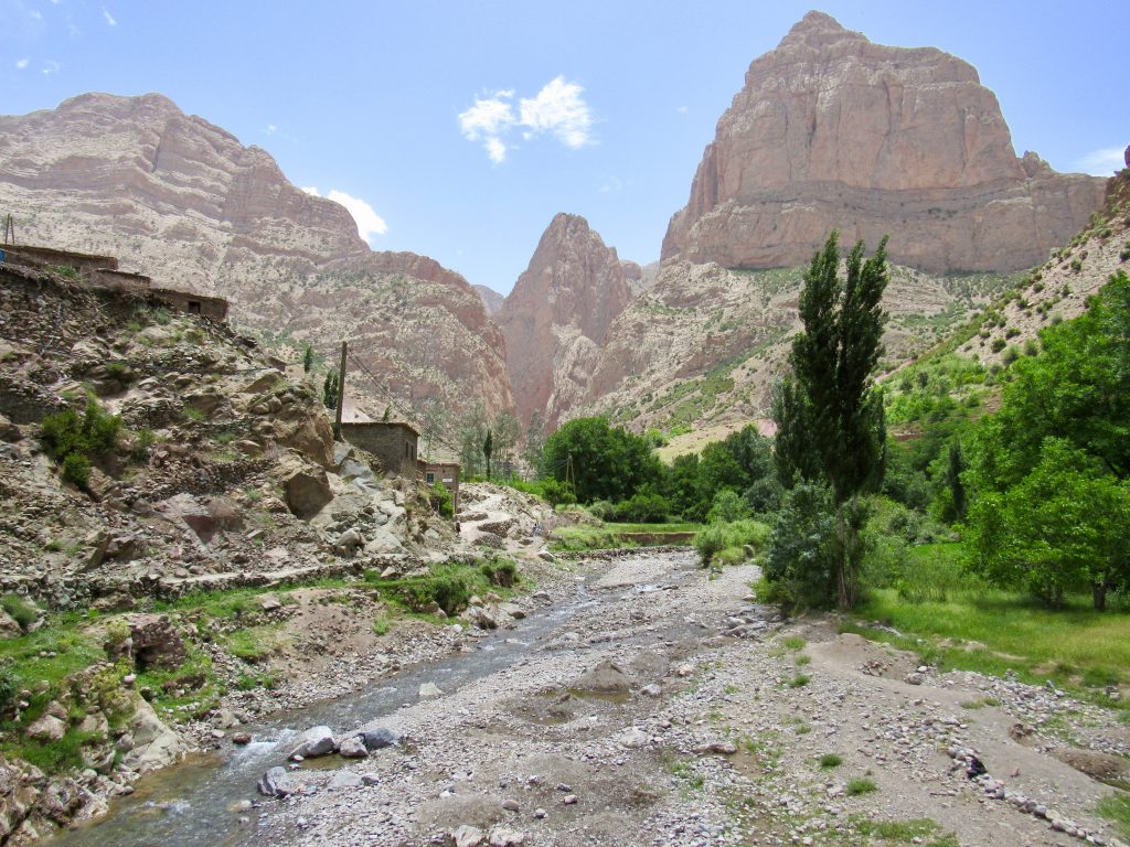 Taghia