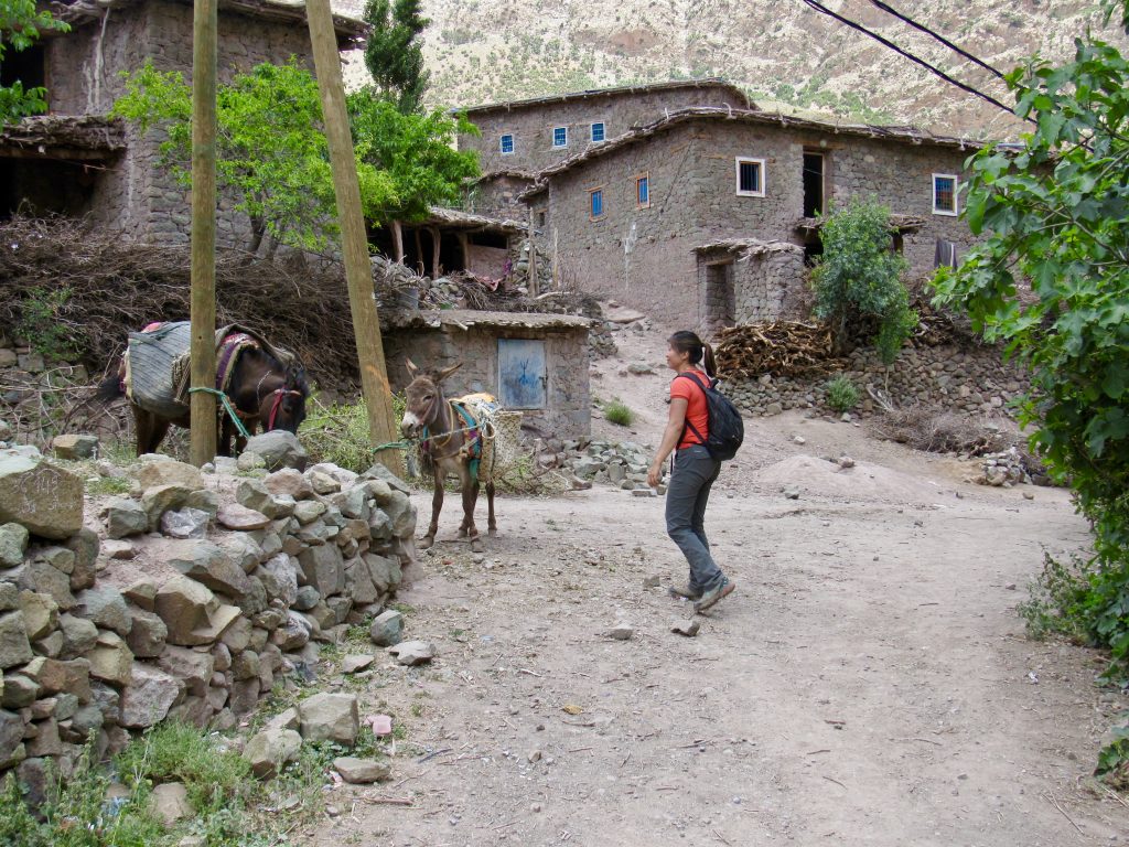 Taghia