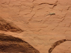 Off-Balance Rock