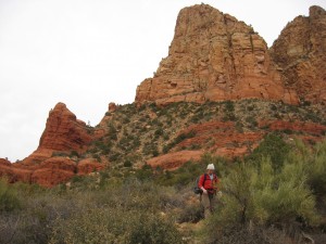 Sedona Scenic Cruise