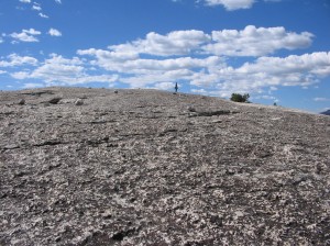 Daff Dome