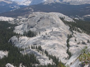 Daff Dome