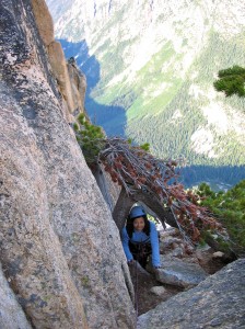 Liberty Crack