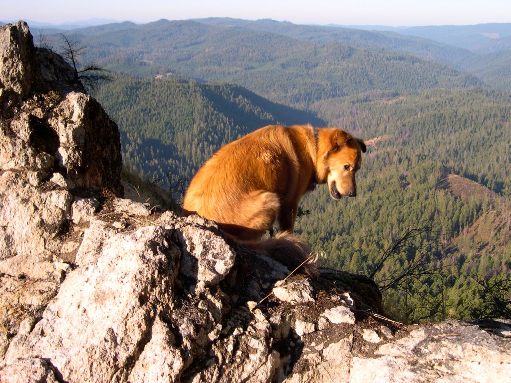 Peregrine Traverse Peregrine Traverse