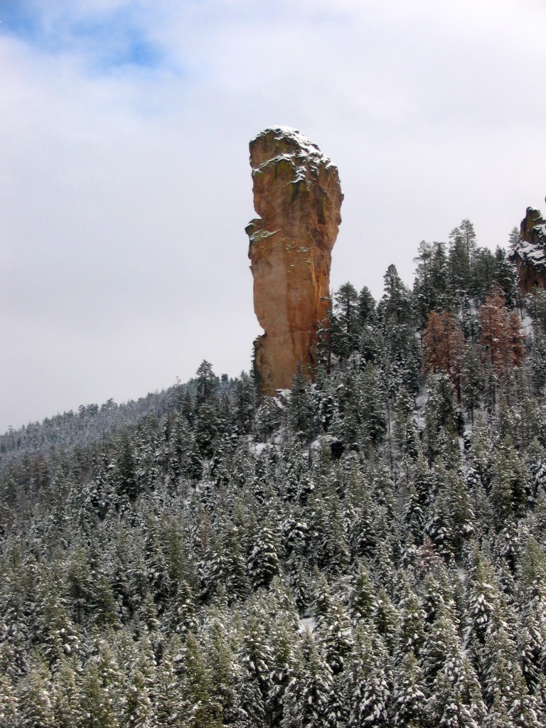 Steins Pillar