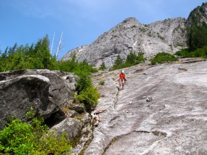 The Blueberry Route