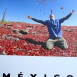 Guia De Escalada En Mexico