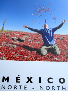 Guia De Escalada En Mexico