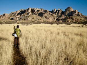 Mystery Of The Desert