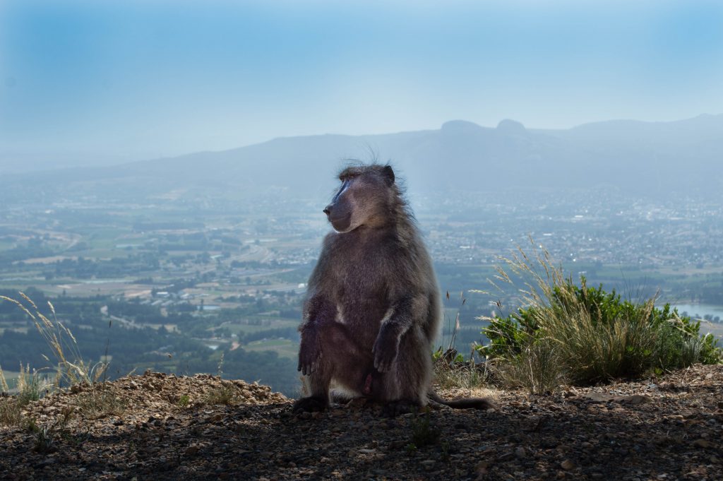 Du Toits Kloof Mountains