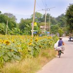 Lopburi