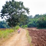 Lopburi