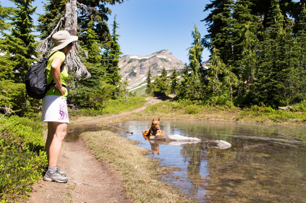 Goat Rocks Wilderness