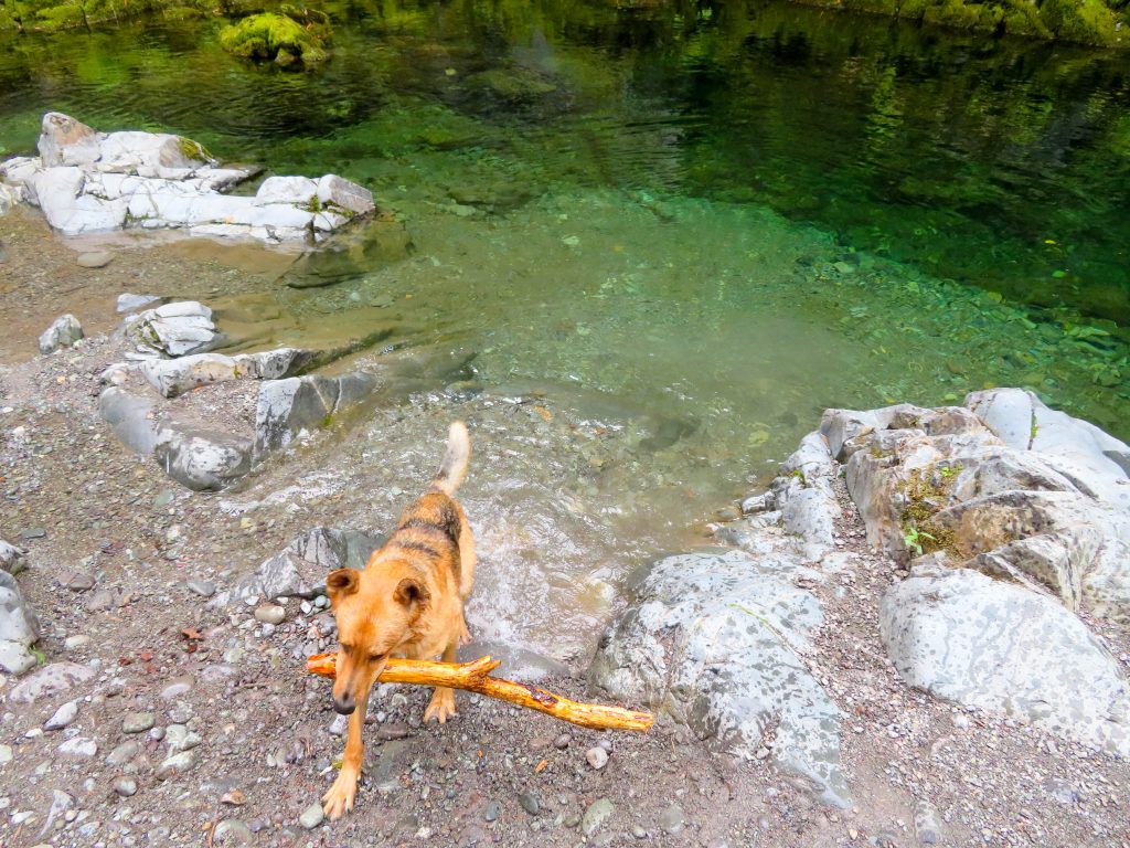 Opal Creek