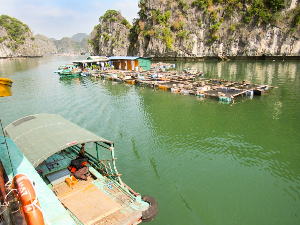 Ha Long Bay