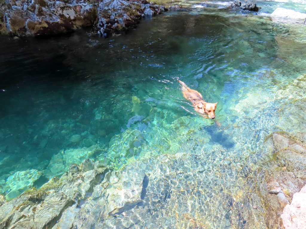 Opal Creek