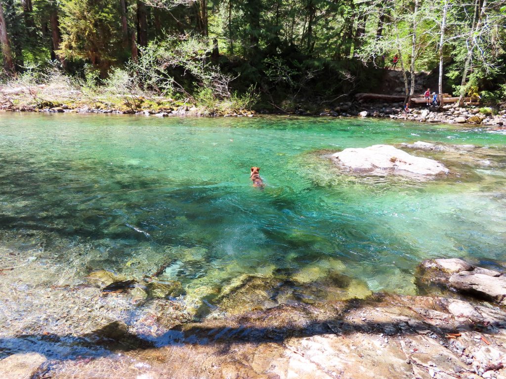 Opal Creek