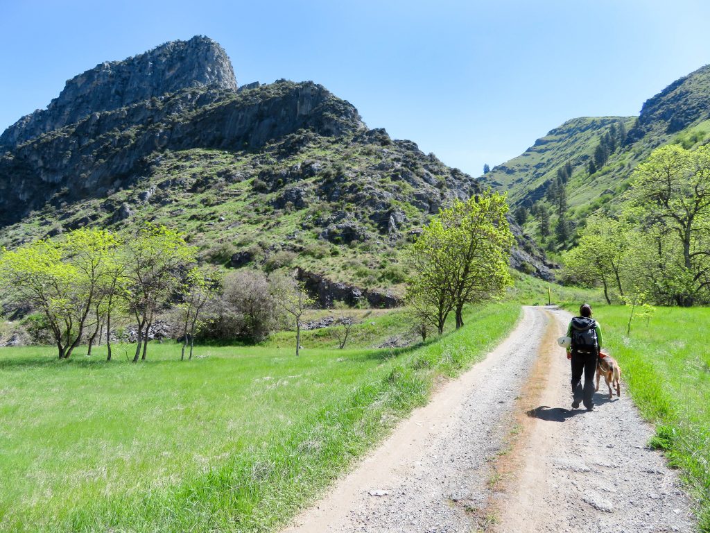 Hells Canyon