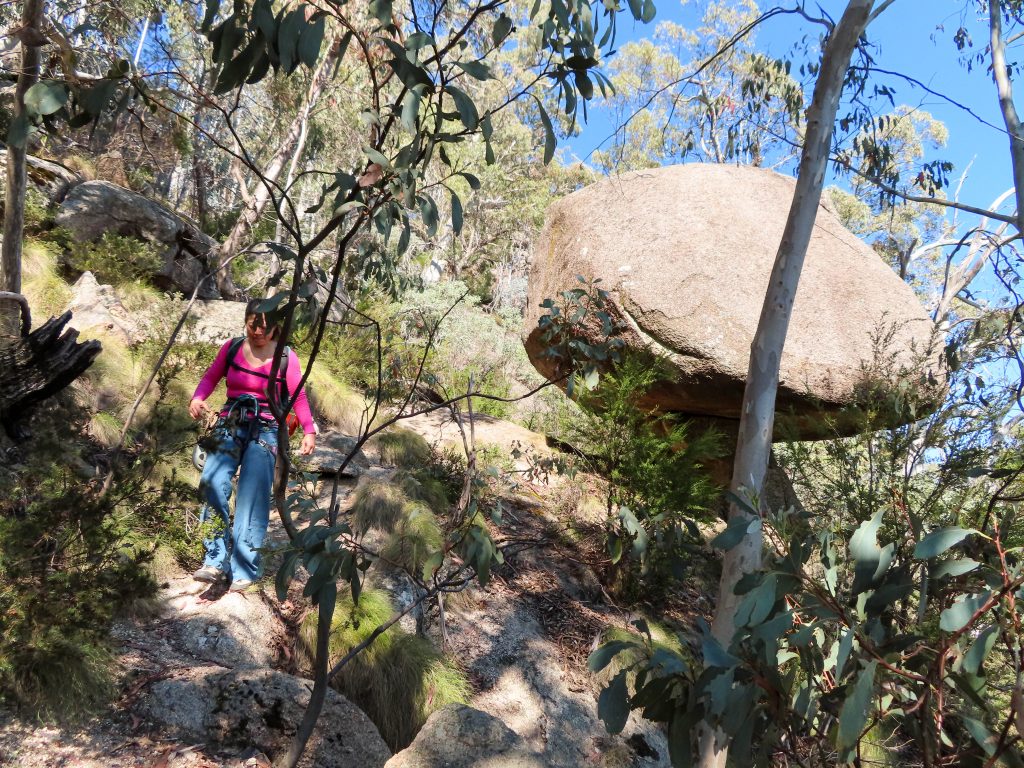 Mount Buffalo