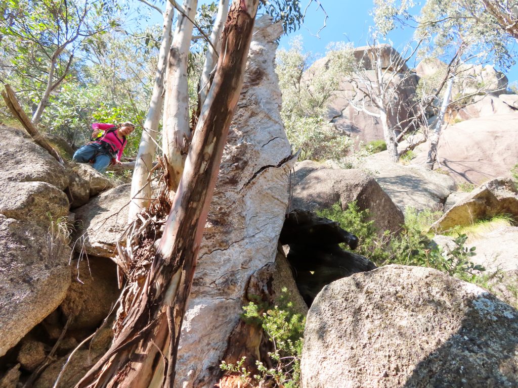 Mount Buffalo