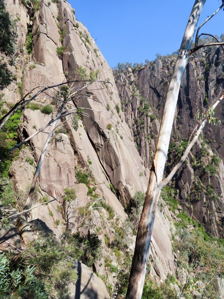 Mount Buffalo