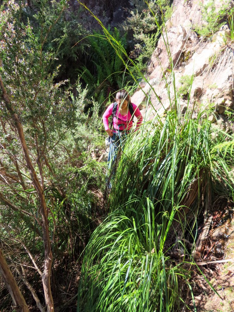 Mount Buffalo