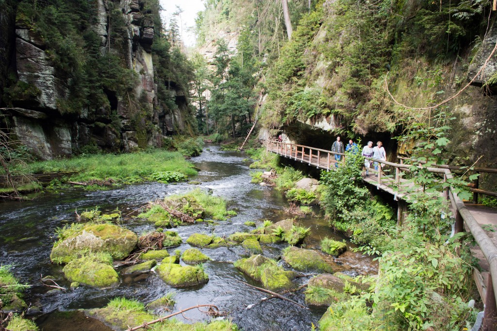 Kamenice Gorge