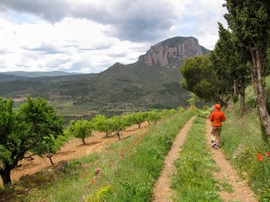 Riglos