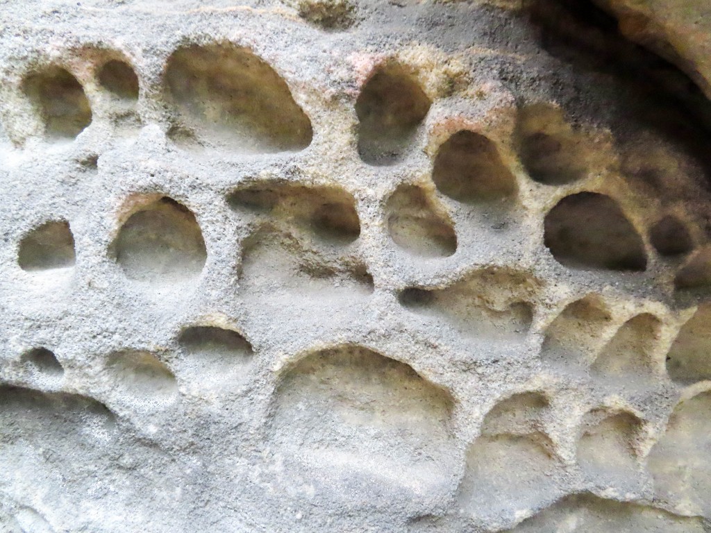 Saxon Sandstone