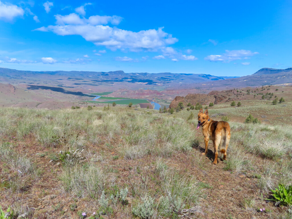 Spring Basin