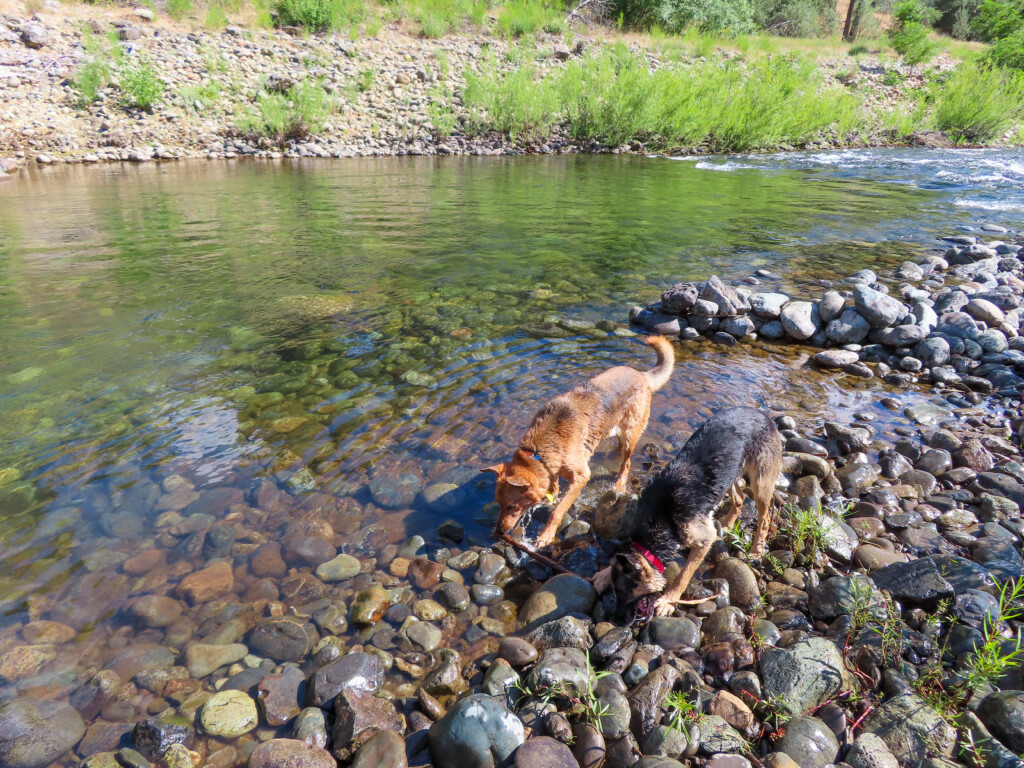 Auburn Swimming Hole