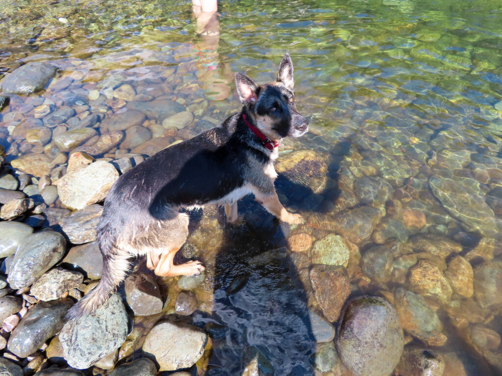 Auburn Swimming Hole