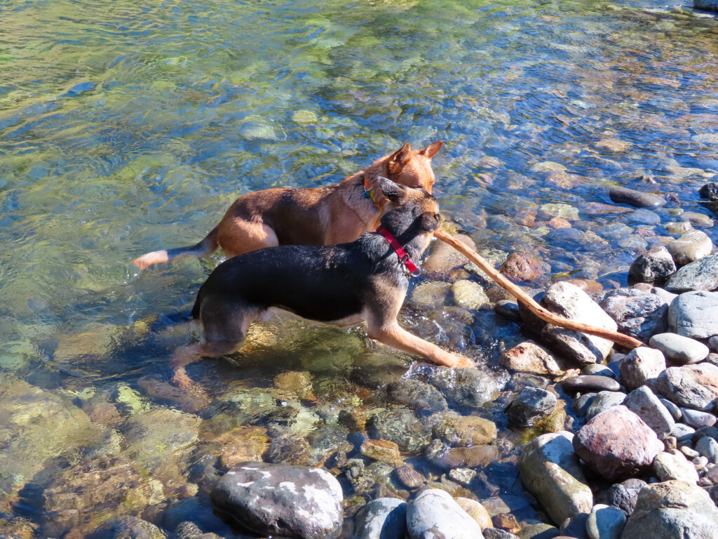 Auburn Swimming Hole