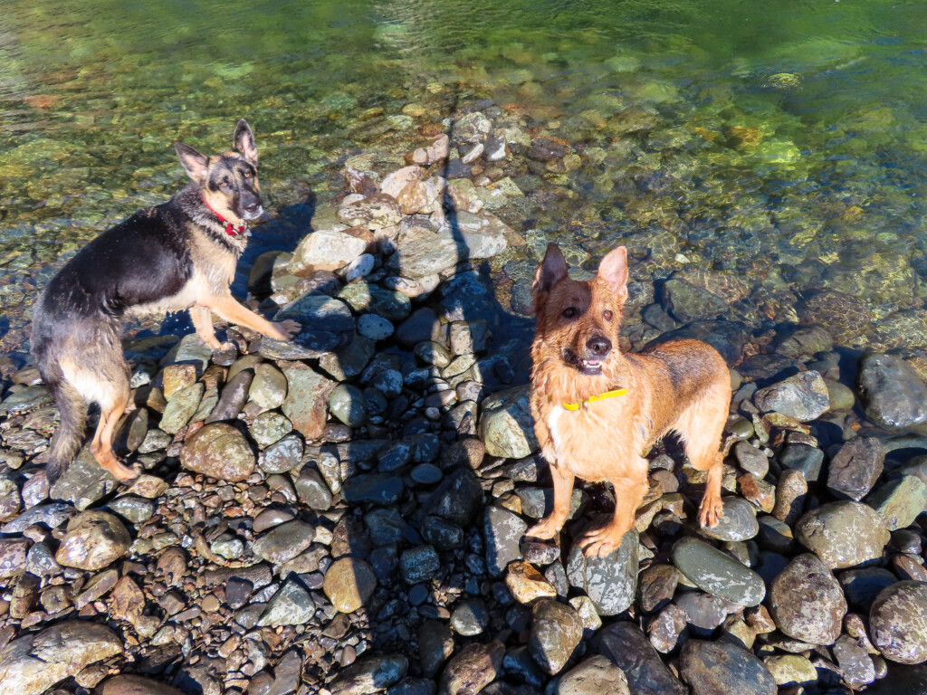 Auburn Swimming Hole