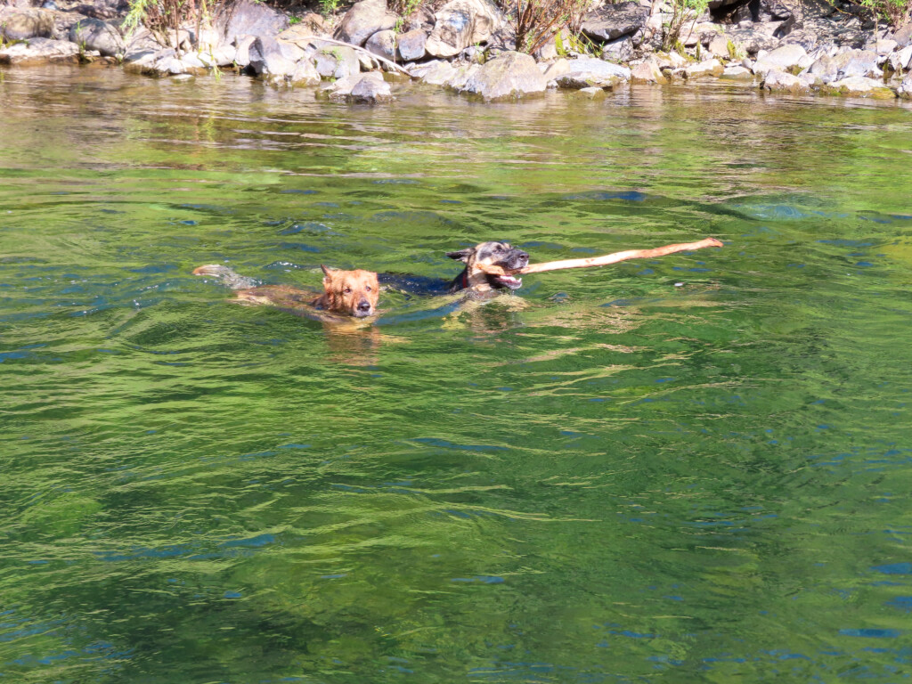 Auburn Swimming Hole