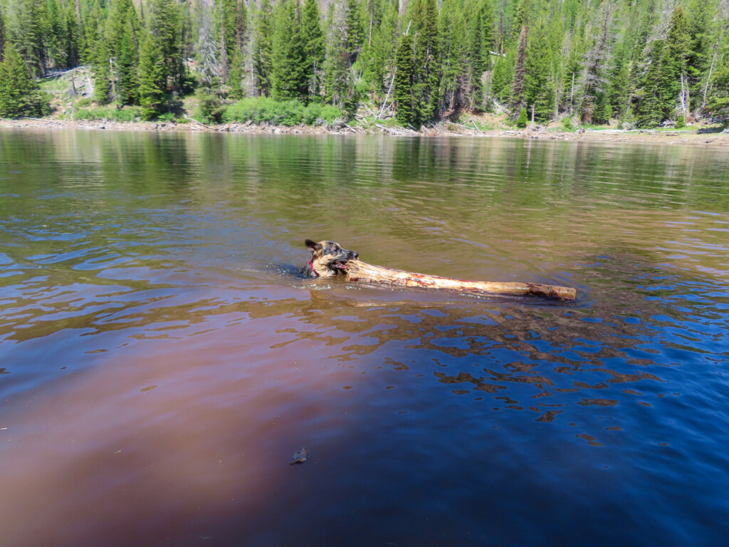 Strawberry Lake