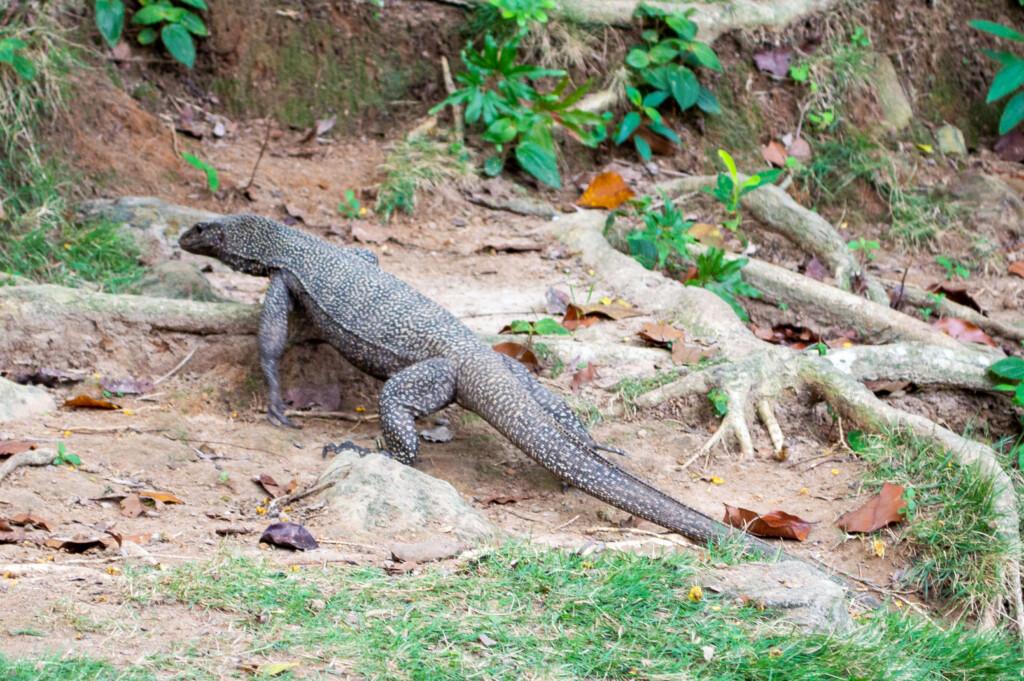 Malaysia