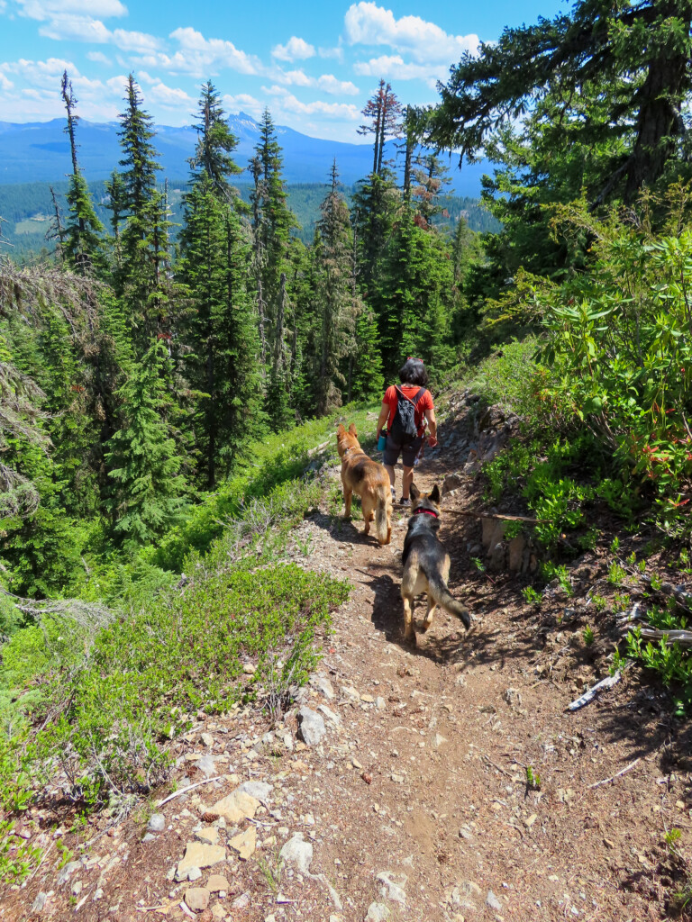 Trappers Butte