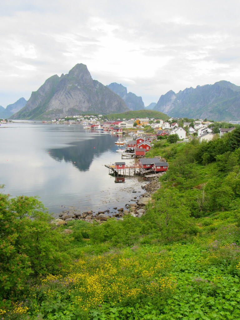 Reine