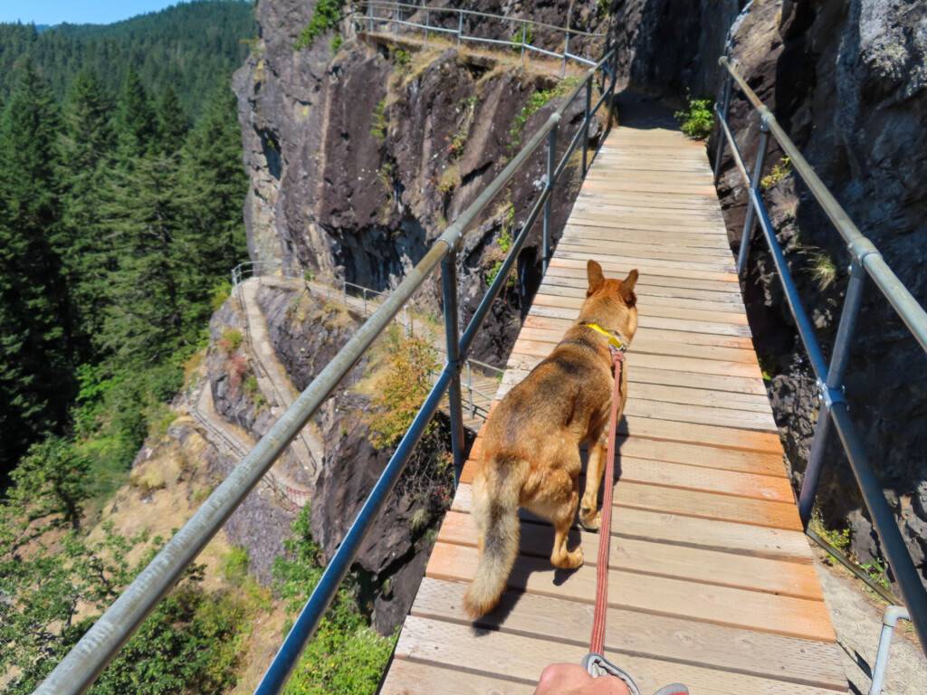 Beacon Rock