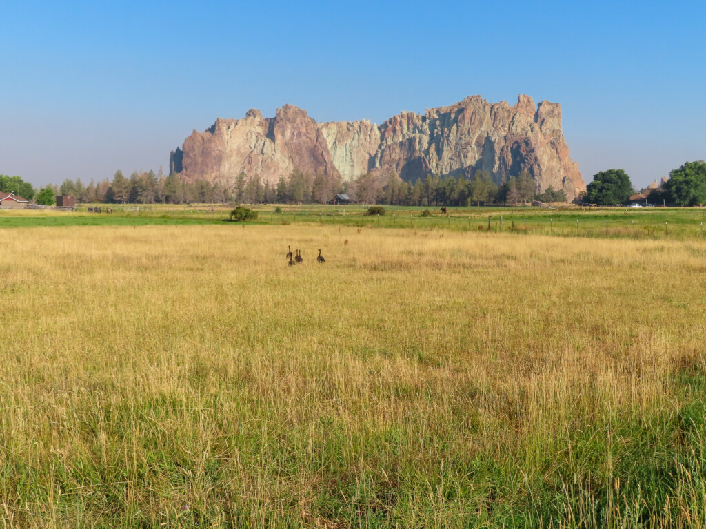 Smith Rock