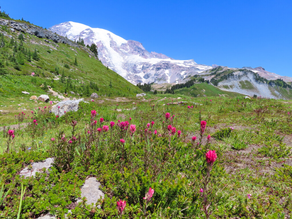 Mount Rainier