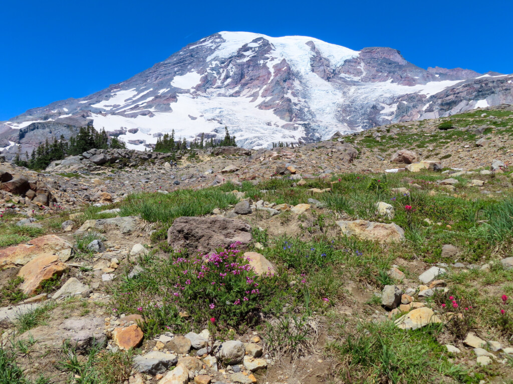 Mount Rainier