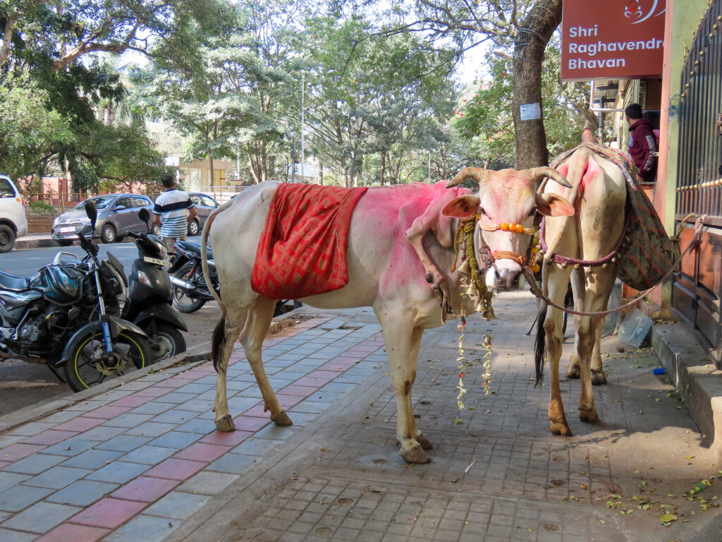 Bangalore