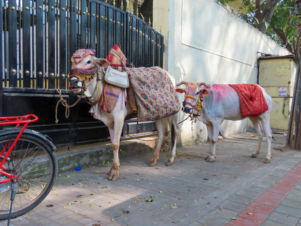 Bangalore